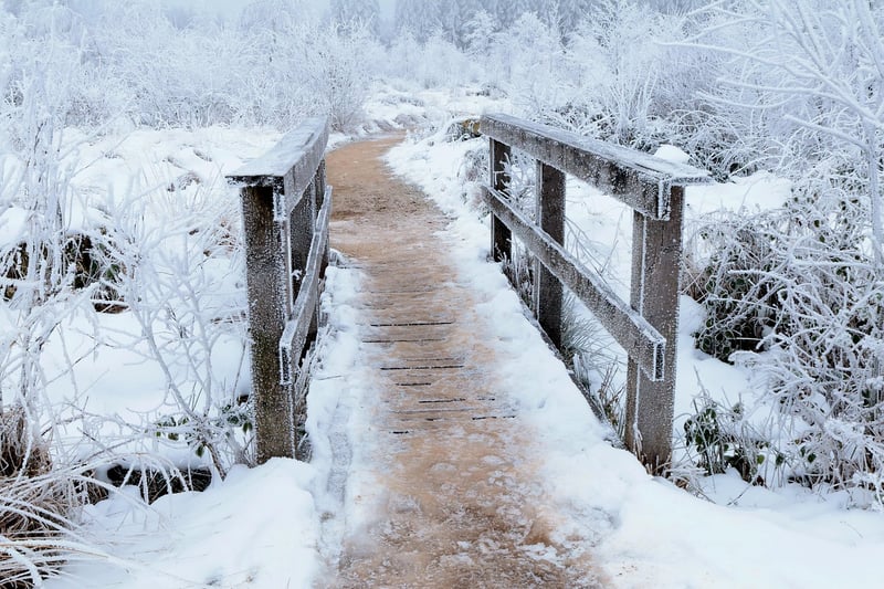 Enchanted pathways
