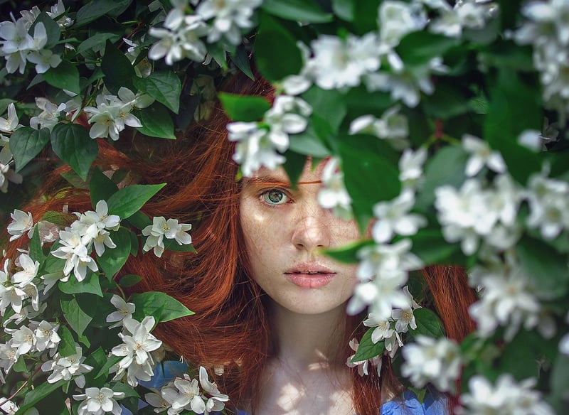 Whimsical flora