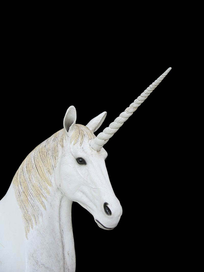 Unicorn in a magical forest